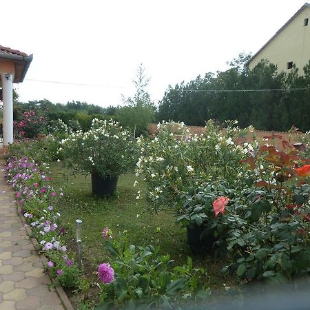 Hotel Liget Panzio Nyirbogdany Zewnętrze zdjęcie
