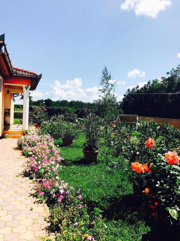 Hotel Liget Panzio Nyirbogdany Zewnętrze zdjęcie